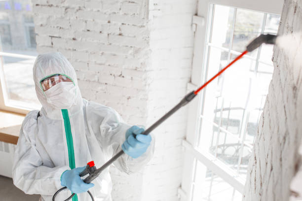 Best Mold Prevention Services  in Fruitland, IA