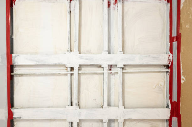 Best Emergency Mold Remediation  in Fruitland, IA