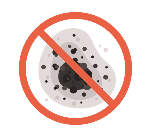 Best Mold Damage Restoration  in Fruitland, IA