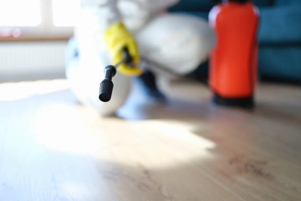 Best Real Estate Mold Inspection  in Fruitland, IA
